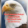 saryanti61