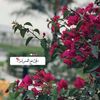 user2613406144271
