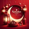 wll__shamurey