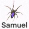 samuel_of_v