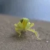 dan_does_stuff125