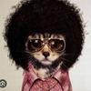 afrocat02