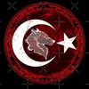 alicanmerve476