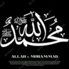 user81917733204725