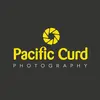 pacific_curd