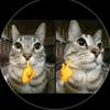 ang_el628
