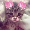 meow._b