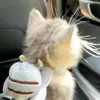 th.sn.kitty