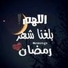 ahmedmamdouh4816