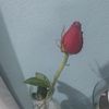 maricervantes455