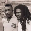 africa.com.net