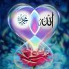 user260598692
