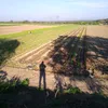 razafuerte1