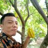 ahmad.fauzi6767