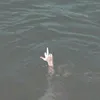 wi_entg