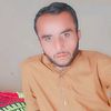 zubairali5653