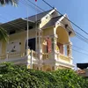 anh.thik_tra_sen_vang23