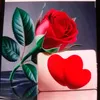 user172711990