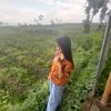 febibiii
