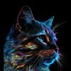 roy_s205