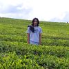 ekaputra0294