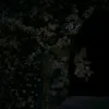 ssss_kkkkkkkkk