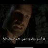 abeermohsan8