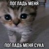 _._yaxzchopisat_._