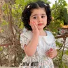 dody31290