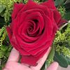 cristy74035