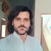 alimargul