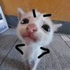awitadelimon272123