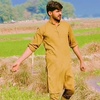 dogar804_