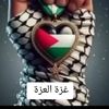 a7med75513