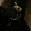 hey_hyuu