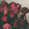 ss_552485