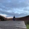 mus_lion_khan22