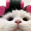 0onixx24