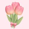 yourlvca