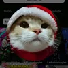 andersoncampos648