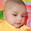 fitroh313_