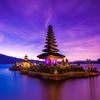 bunga_0735