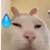 lmnnhatt