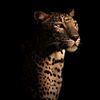 farxiya.abdullahi3