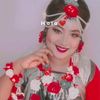 msmegla753