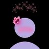 salwa.emad3