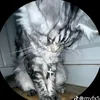 shiup_09