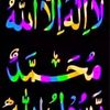 sofsarnn