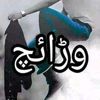 user49838316066185