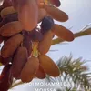 sallymamaroufi
